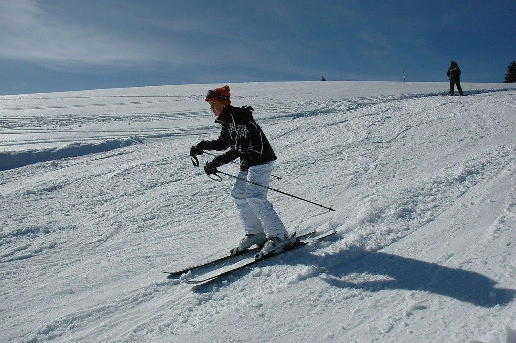 Luenerhof Pensionat Neustift im Stubaital Exteriör bild